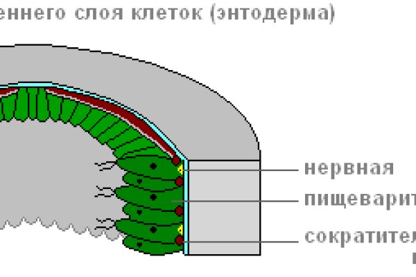 Регистрация на сайте кракен